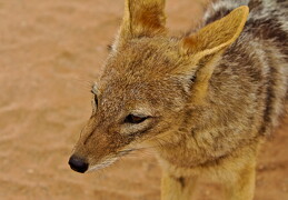 web 20130925 IMG 3634