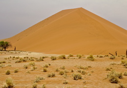 web 20130925 IMG 3650