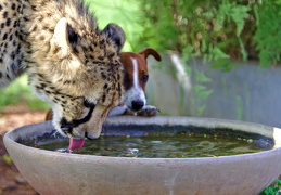 web 20131001 IMG 4422