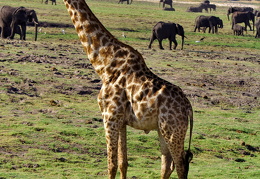 web 20131011 IMG 6441