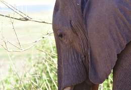 web 20131011 IMG 6714