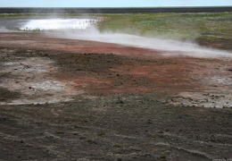 small IMG 7242
