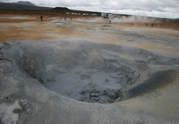 small IMG 7271