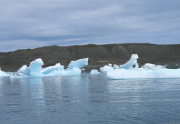small IMG 7782