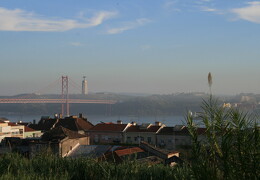 web IMG 0178