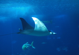 web IMG 0467