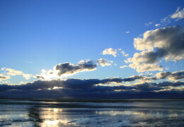 web IMG 1901