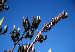 web IMG 3601